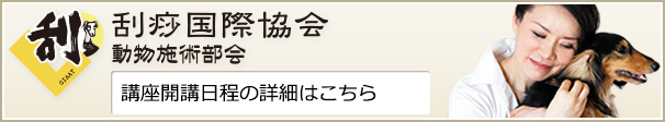 GIAAT グアシャ国際協会 動物施術部会